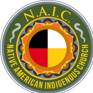 NAIC Official Logo